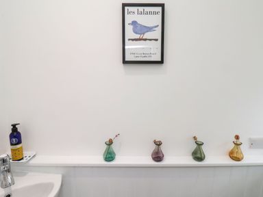 A bathroom sink with hand soap and four small vases with dried flowers on a shelf and a framed picture of a blue bird on the wall