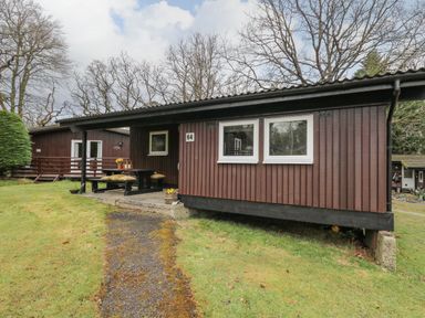 A brown wooden cabin with a picnic table on a concrete patio in front and a grassy yard at 64 Penlan Holiday Park Cenarth
