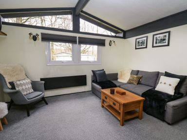 A living room with a gray sofa black pillows wooden coffee table gray armchair and windows with black blinds at 64 Penlan Holiday Park in Cenarth