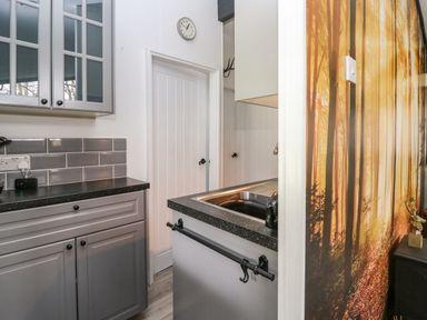 A kitchen with grey cabinets a countertop a sink a clock on the wall and a mural of a forest at 64 Penlan Holiday Park in Cenarth