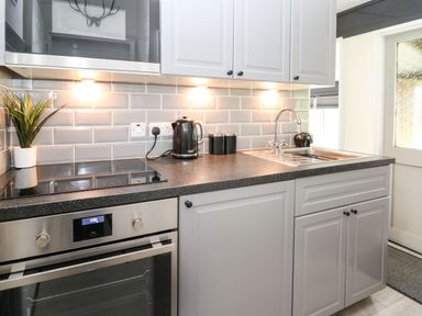 A kitchen with stove oven kettle sink plant and cabinets at 64 Penlan Holiday Park in Cenarth