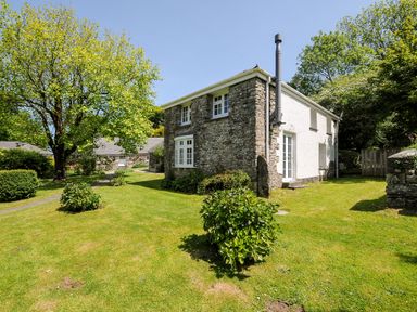 A stone and white house with garden shrubs and a tree at Byre in Trethin near Camelford