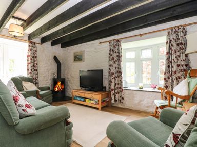 A living room with green armchairs a wood burning stove and a television by a window at Byre in Trethin near Camelford