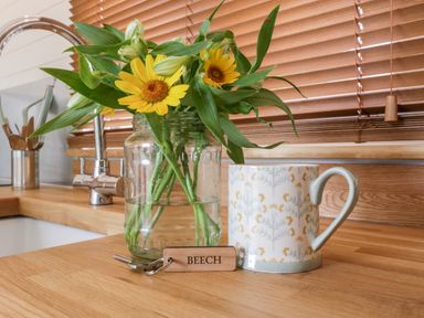 A kitchen counter with a jar of yellow flowers a mug and a key with a beech tag at Beech in Kemble
