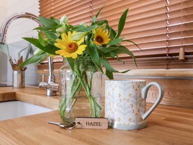 A kitchen countertop with a glass jar of flowers a patterned mug and a key with a Hazel tag in Kemble