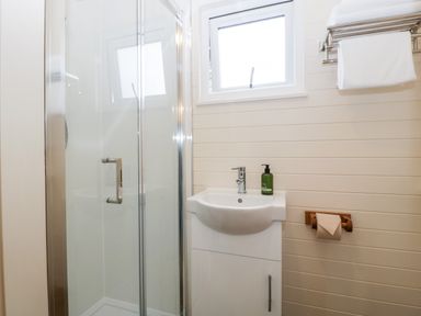 A bathroom with a glass shower enclosure a sink with a soap dispenser and a towel rack with a white towel at Hazel in Kemble
