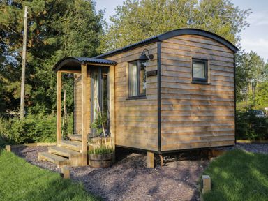A small wooden cabin with steps and a curved roof surrounded by greenery at Hazel in Kemble