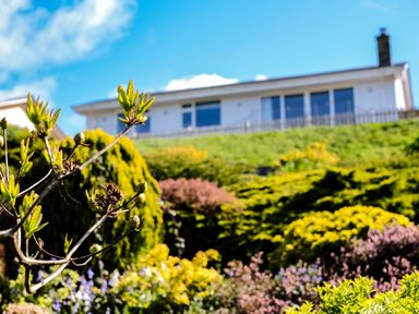A garden with various plants and bushes in front of a house on a hill at Harbour Lights Port Isaac