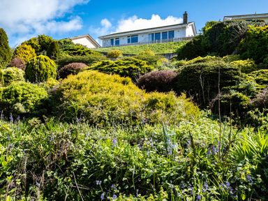 A house on a hill with various bushes and plants in the garden at Harbour Lights Port Isaac