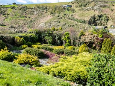 A garden with various bushes and shrubs with hills in the background at Harbour Lights Port Isaac