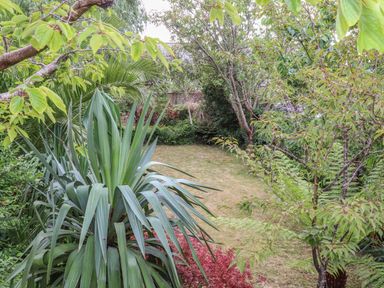 A garden with various green plants and trees surrounding a small grassy area at Hillcroft in St Austell