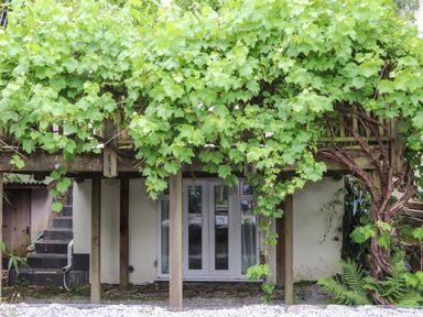 A wooden balcony with green leafy vines growing over it and double glass doors below at Hillcroft in St Austell
