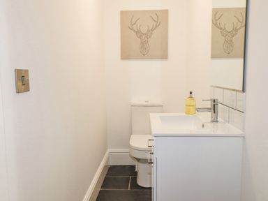 A bathroom with a toilet sink mirror soap dispenser and deer artwork at Tarth Y Mor in Criccieth