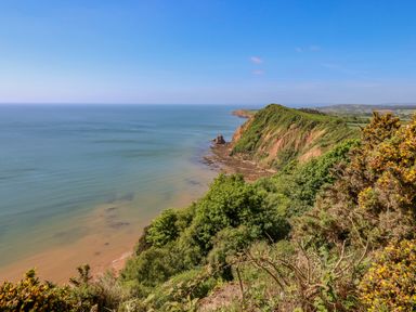 A coastal cliffside with greenery overlooking the sea at Cornerside in Sidmouth