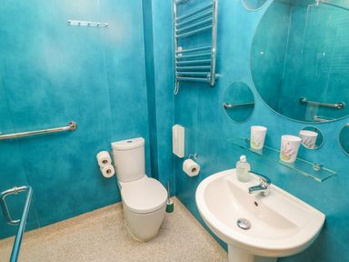 A bathroom with a toilet sink a mirror and blue walls at Nook in Bethesda near Narberth