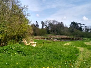 A grassy field with two wooden chairs near a small pond surrounded by trees at Nook Bethesda near Narberth