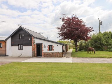 A rural house with a brick and white wall near a tree and lawn at Strawberry Bank - Kingfisher in Pyworthy near Bridgerule