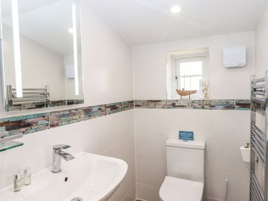 A bathroom with a sink and mirror and a toilet and window at Strawberry Bank - Kingfisher Pyworthy near Bridgerule