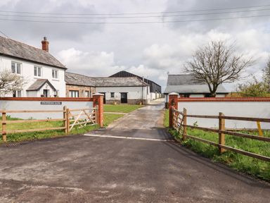 An entrance gate with a driveway leading to white buildings and a tree at Strawberry Bank Kingfisher in Pyworthy near Bridgerule