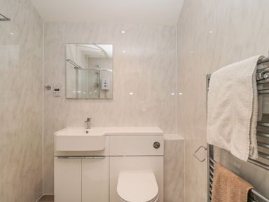 A bathroom with a sink, a toilet, a mirror, and two towels on a heated towel rail at The Hame in Monmouth