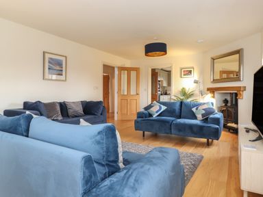 A living room with blue sofas a wood stove a TV and wooden flooring at Whin Hill Cottage in Craster
