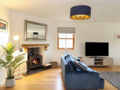 A living room with a lit fireplace blue sofa flat screen tv and a plant at Whin Hill Cottage in Craster