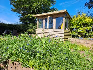A wooden garden shed with windows surrounded by raised flower beds and garden furniture in the background at Bogrie Cottage Canonbie near Gretna Green
