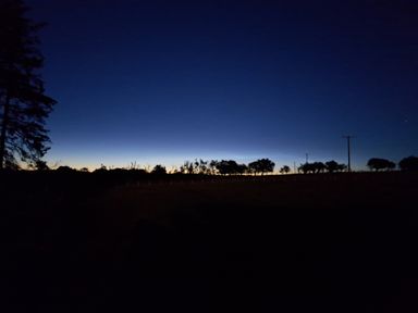 A dark outdoor landscape with trees and power poles under a twilight sky at Bogrie Cottage in Canonbie near Gretna Green