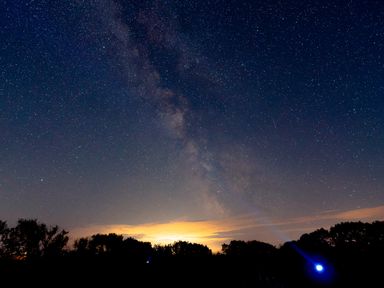 A night sky filled with stars and the milky way visible above a silhouette of trees at The Threshing Barn in Highampton