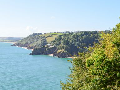 A coastal landscape with cliffs, green hills, and the sea at Magnolia House in Dittisham