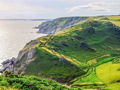 A green coastal cliff with walking paths overlooking the sea at Magnolia House in Dittisham