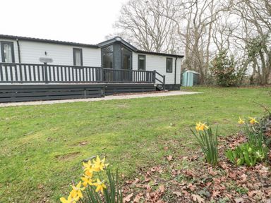 A garden with yellow flowers in front of a gray house with a porch at Owls Nest in Furzehill