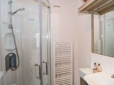 A bathroom with a shower enclosure sink with soap dispensers and a heated towel rail at Owls Nest in Furzehill