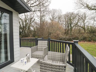 A deck with two woven chairs and a small table with mugs and a French press overlooking trees and grass at Owls Nest in Furzehill