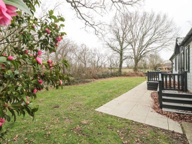 A garden with pink flowers on a bush and a patio next to a house at Owls Nest in Furzehill