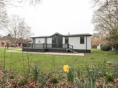 A white mobile home with a dark deck and steps surrounded by grass and trees at Owls Nest in Furzehill
