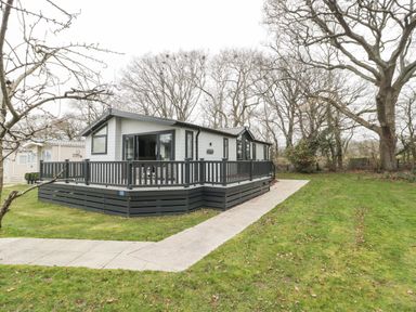 A small house with a black railing around a wooden deck and bare trees in the background at Owls Nest in Furzehill