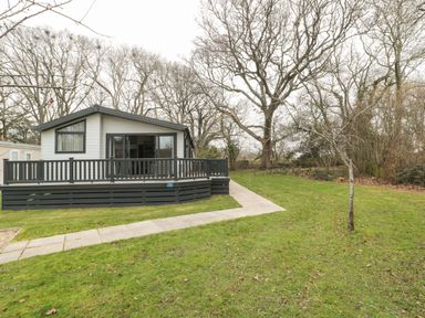 A cabin with a wooden deck in a grassy yard with trees at Owls Nest in Furzehill