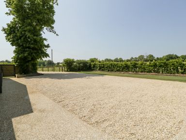 A gravel driveway with a large tree and green hedges at Basswood Barn in Lime Tree Barn
