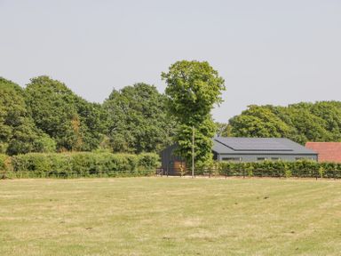 A field with grass and a tree near a building with solar panels and trees in the background at Basswood Barn in Lime Tree Barn