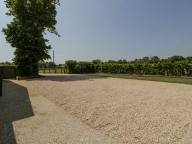 A gravel driveway with a hedge and a large tree at Linden Barn in Wincanton