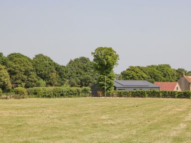 A field with a tree in front of buildings and trees in the background at Linden Barn in Wincanton