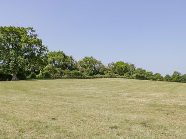 An open grassy field with trees along the back edge under a clear sky at Linden Barn in Wincanton