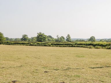 An open grass field with hedges and trees in the background at Linden Barn in Wincanton