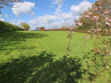 A green grassy field with a wooden cabin and a fenced area under a blue sky with white clouds at Cherry Pod 2 Hookagate near Meole Brace
