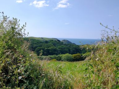 A coastal landscape with green vegetation and the sea in the background at The Mill in Trethevy near Tintagel