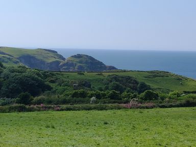 Green fields and hills with bushes and trees and the sea in the background at The Mill in Trethevy near Tintagel