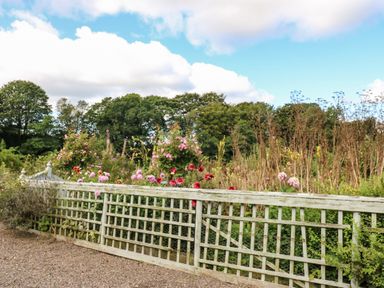 A garden with a wooden lattice fence and various flowers with trees in the background at The Courtyard in Kirklinton near Longtown