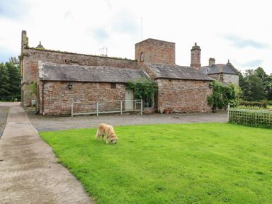An old brick building with a tiled roof and a golden retriever on the grass in front at The Courtyard in Kirklinton near Longtown