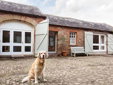 A dog sitting on a cobblestone courtyard in front of a stone building with white doors and shutters at The Courtyard in Kirklinton near Longtown